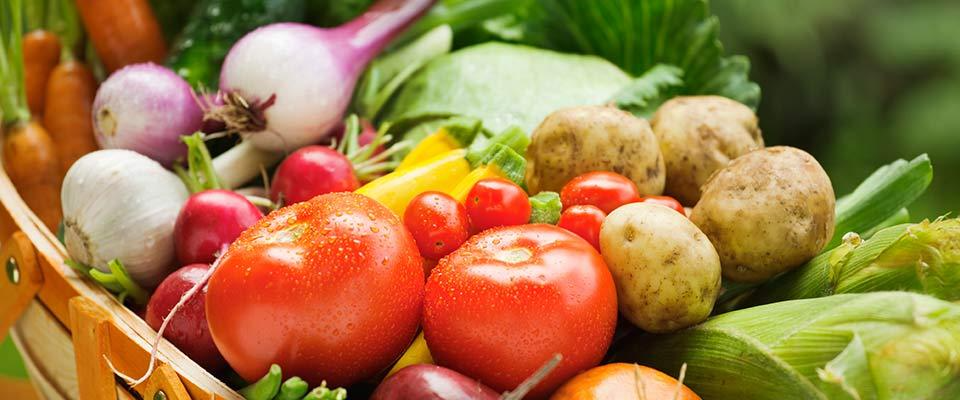 Serve What's in Season