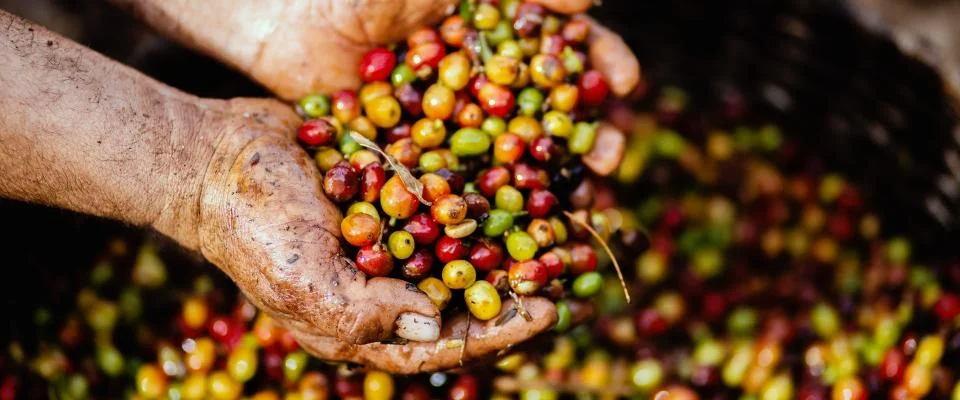 Share our warmth with your business