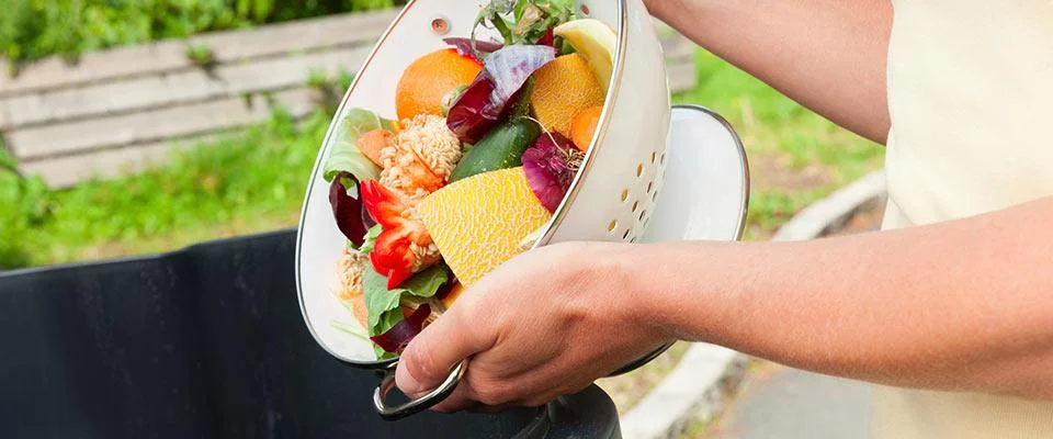 Twelve Waste Cutting Ideas to co