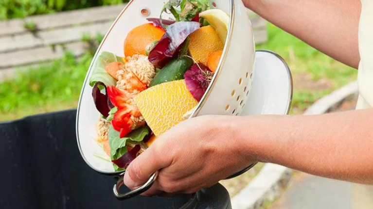 Twelve Waste Cutting Ideas to co
