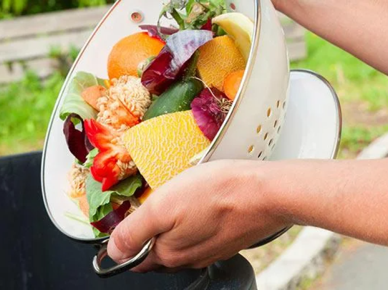 Twelve Waste Cutting Ideas to co