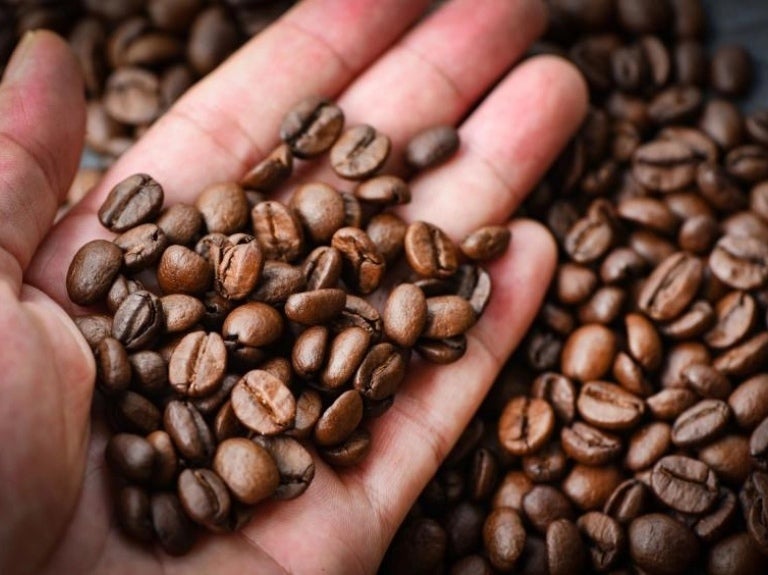 Coffee Solutions