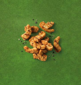 HARVEST GOURMET™ CHARGRILLED PIECES