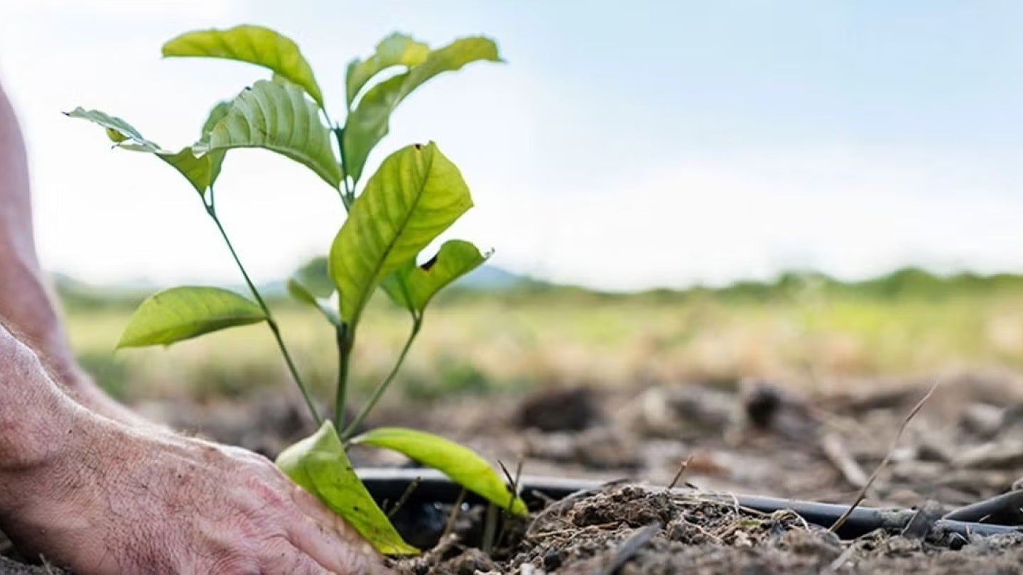 nestle sustainability 
